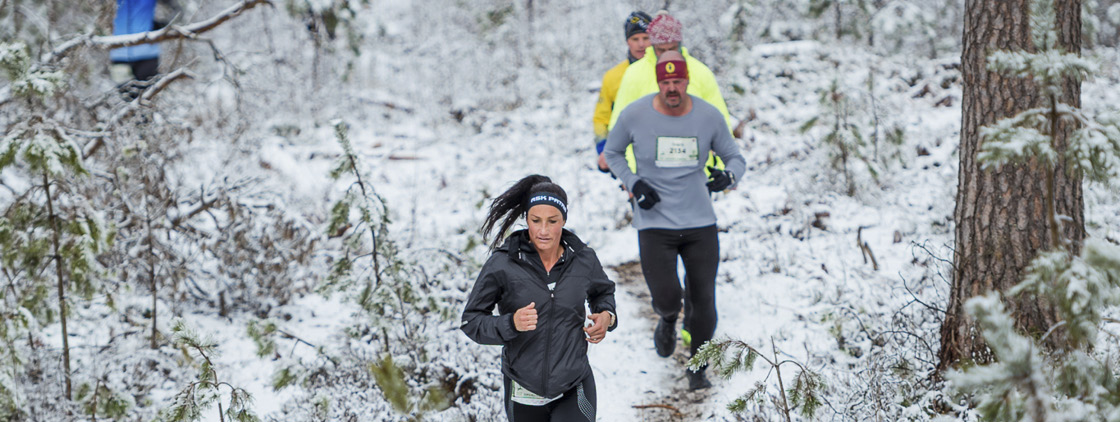 Latvijas valsts mežu Stirnu buks