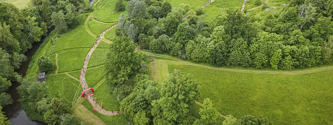 Latvijas valsts mežu Stirnu buks